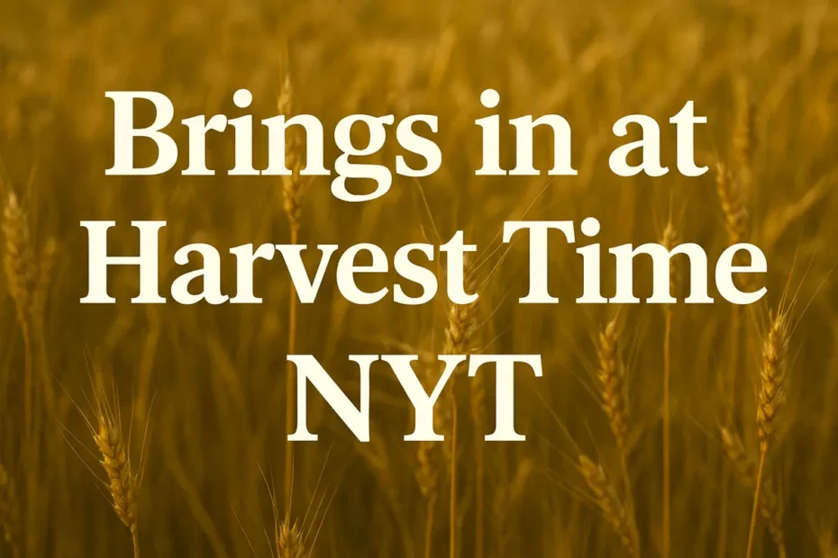 Brings in at Harvest Time NYT