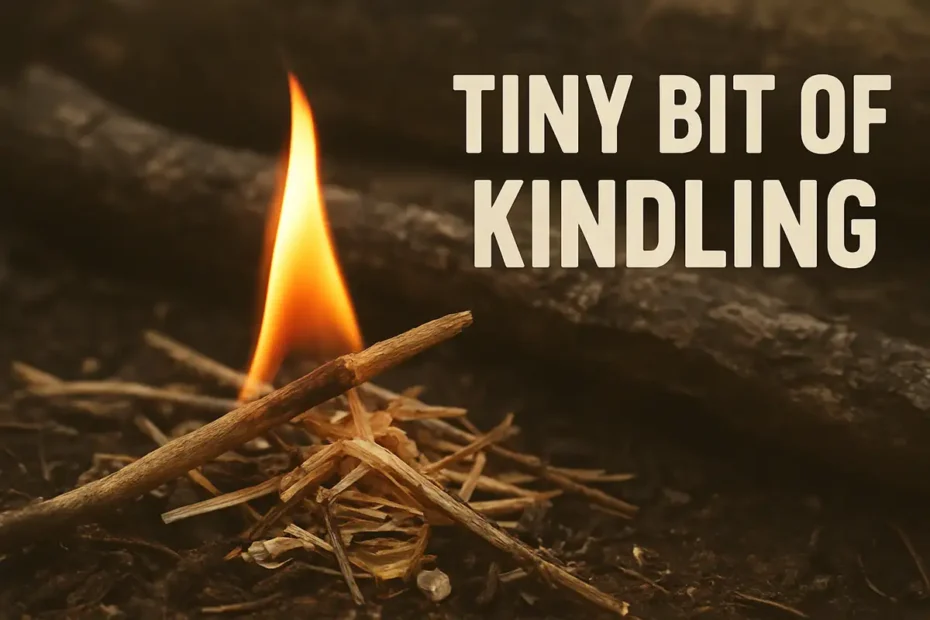 Tiny Bit of Kindling